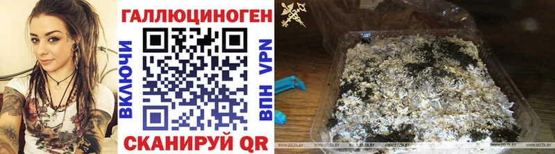 Галлюциногенные грибы прущие грибы  Демидов 