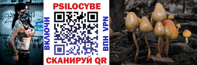 Псилоцибиновые грибы Psilocybine cubensis Демидов